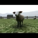 Crazy Cattle 3D